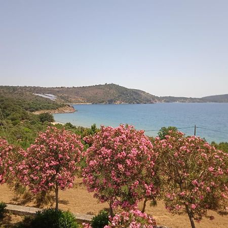 Skoutari Beach Hotel Exteriér fotografie