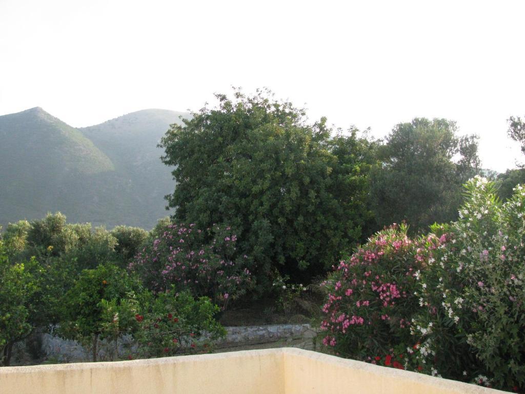 Skoutari Beach Hotel Pokoj fotografie
