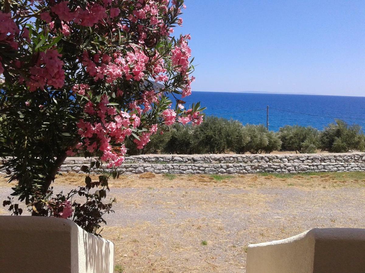 Skoutari Beach Hotel Exteriér fotografie